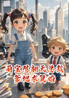 萌宝怼翻天总裁爹地求复婚原著小说免费阅读
