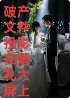 破产文件投影在婚礼大屏上陈默苏晚晴 by大漠一壶茶完整在线阅读