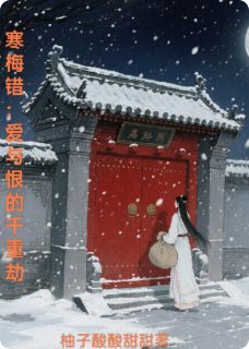寒梅错：爱与恨的千重劫秦昭雪萧凛全本大结局阅读