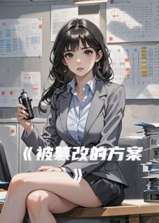 《被篡改的方案》林薇赵明远章节免费试读