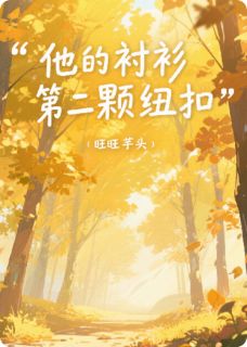 《他的衬衫第二颗纽扣》免费阅读 林晚陆沉舟在线阅读