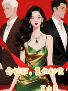 精品热文《命如灯，复仇如火》傅子理傅承宴林梦瑶小说全文精彩章节免费试读无删减