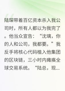 代码女王驯服资本巨鳄章节 代码女王驯服资本巨鳄小说目录阅读