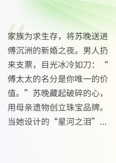 冷婚暖爱：傅总的珠宝女王小说免费阅读 苏晚傅沉洲小说大结局在线阅读