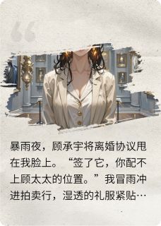 离婚夜，大佬递伞又递婚戒完整版全文阅读 苏晚陆沉舟小说 大结局