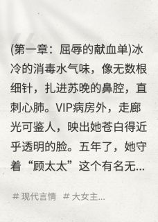 《离婚当天，五个大佬排队喊大嫂》免费阅读 苏晚顾沉舟林薇薇小说在线阅读