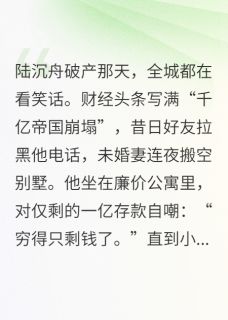 美文阅读《霸总破产，只剩下一个亿了》陆沉舟林晚全文精彩章节列表试读