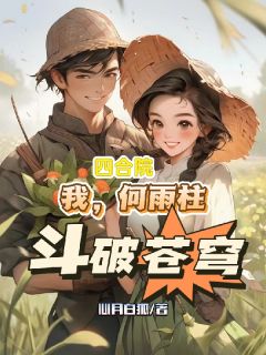 四合院：我，何雨柱，斗破苍穹何雨柱傻柱易中海小说 四合院：我，何雨柱，斗破苍穹小说章节