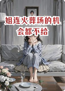 《姐连火葬场的机会都不给》苏晚陆沉章节在线试读