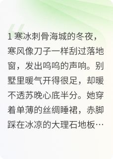 《陆先生，夫人她不回头了》小说在线阅读 《陆先生，夫人她不回头了》最新章节列表