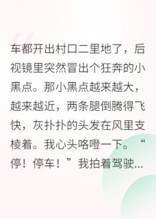 《我那可爱的外婆，总给我塞好吃的》小说章节目录免费阅读 陈屿晚晚小说阅读