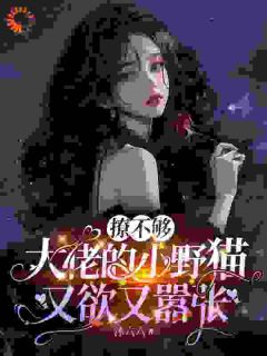 《撩不够，大佬的小野猫又欲又嚣张》小说大结局在线试读 苏姜陆晨矅小说全文