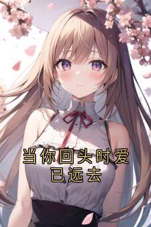 当你回头时爱已远去完整小说目录在线阅读 (夏叙言槐序) 大结局无弹窗