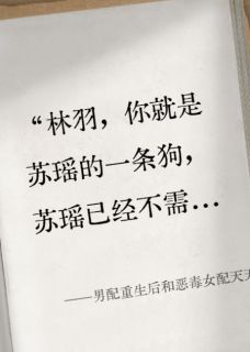 《男配重生后和恶毒女配天天秀恩爱》全集免费在线阅读（林羽叶璃）