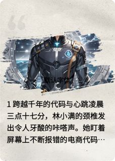 双生密钥：漏洞即救赎林小满陆沉小说精彩内容免费试读