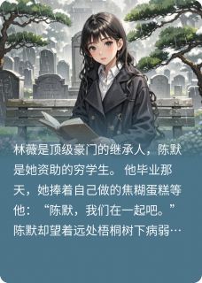 十年雨by木鱼是少爷 林薇陈默苏晚免费在线全文阅读