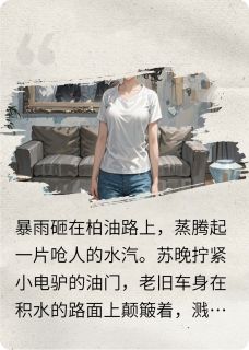 我的鉴宝直播间，专打假千金的脸我的鉴宝直播间，专打假千金的脸小说 苏晚林薇薇在线阅读