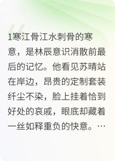 《重生之再来》全文免费章节在线试读 苏晴林辰小说