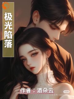 《极光陷落》小说主角苏晚晴顾沉舟全文章节免费在线阅读