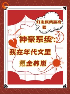 神豪系统：我在年代文里氪金养崽叶晓琳章长程by灯泡属我最亮完整在线阅读