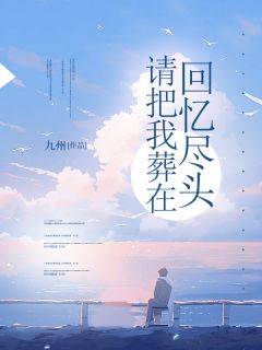 请把我葬在回忆尽头by九州 苏芷沫靳修文在线阅读全文