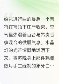 《消失的她是谁》小说全文免费阅读 苏晚陆沉小说全文