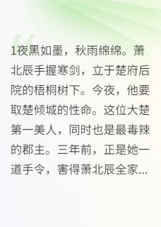 杀手遇上郡主和萌娃的日常小说精彩章节免费试读（主角萧北辰楚倾城）