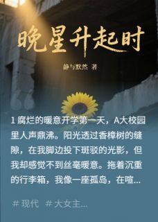 《晚星升起时》小说在线阅读 《晚星升起时》最新章节列表