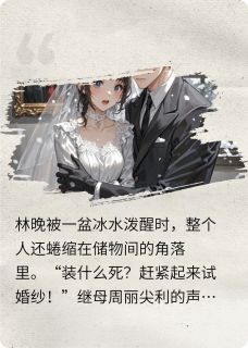 《替身新娘∶总裁的复仇陷阱》林晚陆沉章节免费试读