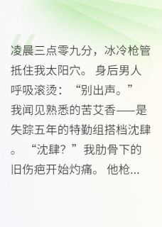 《共生警报：身后男人呼吸滚烫》沈肆厉锋章节目录免费阅读