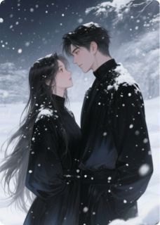 沈先生的私有物苏晚沈知衍小说全文免费阅读