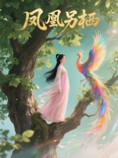 《凤凰另栖》沈云舒楚明轩小说全本免费试读