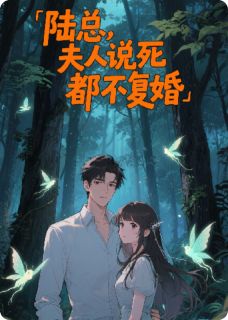 《陆总，夫人说死都不复婚》陆沉舟苏晚小说精彩内容在线阅读