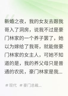 《新婚夜，我女友去跟别人入洞房》小说大结局免费阅读 陈梦林海小说阅读