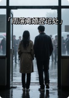 《雨落离婚登记处》小说免费阅读 林晚苏航小说大结局在线阅读