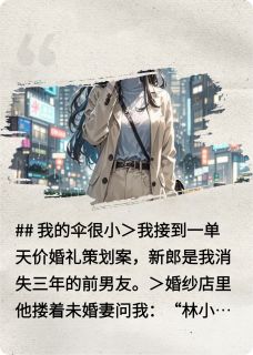 热文《我的伞很小》林晚沈聿小说全文无弹窗阅读