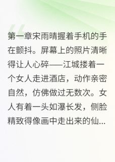 他说爱我我在哭她说不爱他我在笑小说全文精彩章节在线阅读（宋雨晴江城）