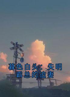 《暮色白头：失明霸总的追妻》小说精彩阅读 《暮色白头：失明霸总的追妻》最新章节列表