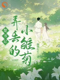 简初楚淮序小说 《楚书记弄丢的小雏菊》小说全文精彩阅读
