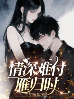 情深难付雁归时顾云铮宋听禾汪芷蓝小说全文免费阅读