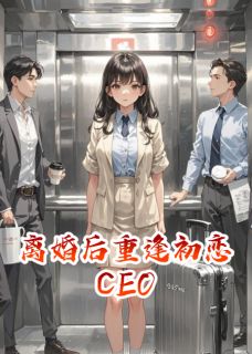 《离婚后重逢初恋CEO》小说章节列表精彩阅读 薛妗溪程明耀小说全文