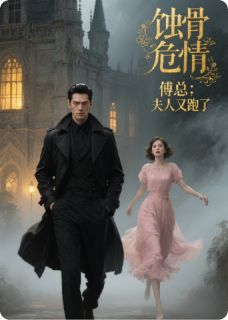 好书推荐《蚀骨危情：傅总，夫人又跑了》林浅傅景深苏曼柔全文免费试读