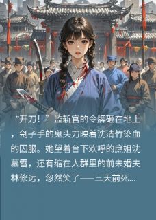 庶姐诬陷问斩，翻出十年前灭门案沈清竹傅昭庭 by一只准蚂喽完整在线阅读