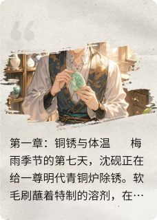 《拾光里的修复师》沈砚陆时衍小说精彩章节在线阅读