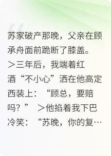 《总裁的赎罪》小说全集免费免费试读（苏晚顾承舟）