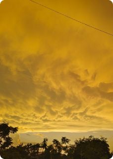 《深宫杏花暖》大结局精彩阅读 《深宫杏花暖》最新章节目录