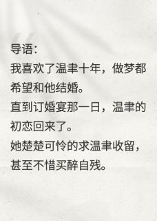 岁岁不心碎温聿林枝然小说全文免费阅读