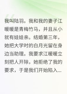 妻子为白月光流产，我多子多福江暖暖赵文斌小说在线阅读全文章节目录完整版