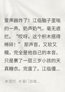 《总裁炸了，死对头竟是我儿亲妈！》江临糖豆苏晚小说在线阅读