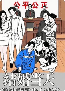 《结婚当天我被妻子告上法庭》小说完结版在线试读 江婷婷陈凡赵峰小说全文